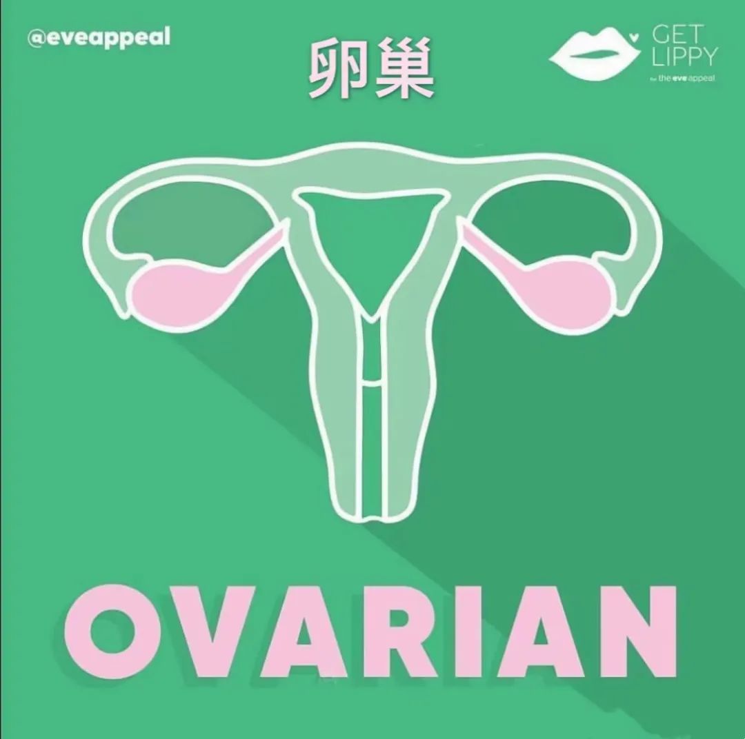 探索情欲，先从了解女人的下面开始！