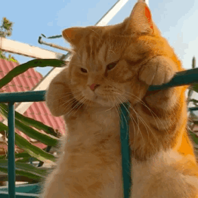 第一次尝试剃毛，没想到滚床单别有一番滋味~