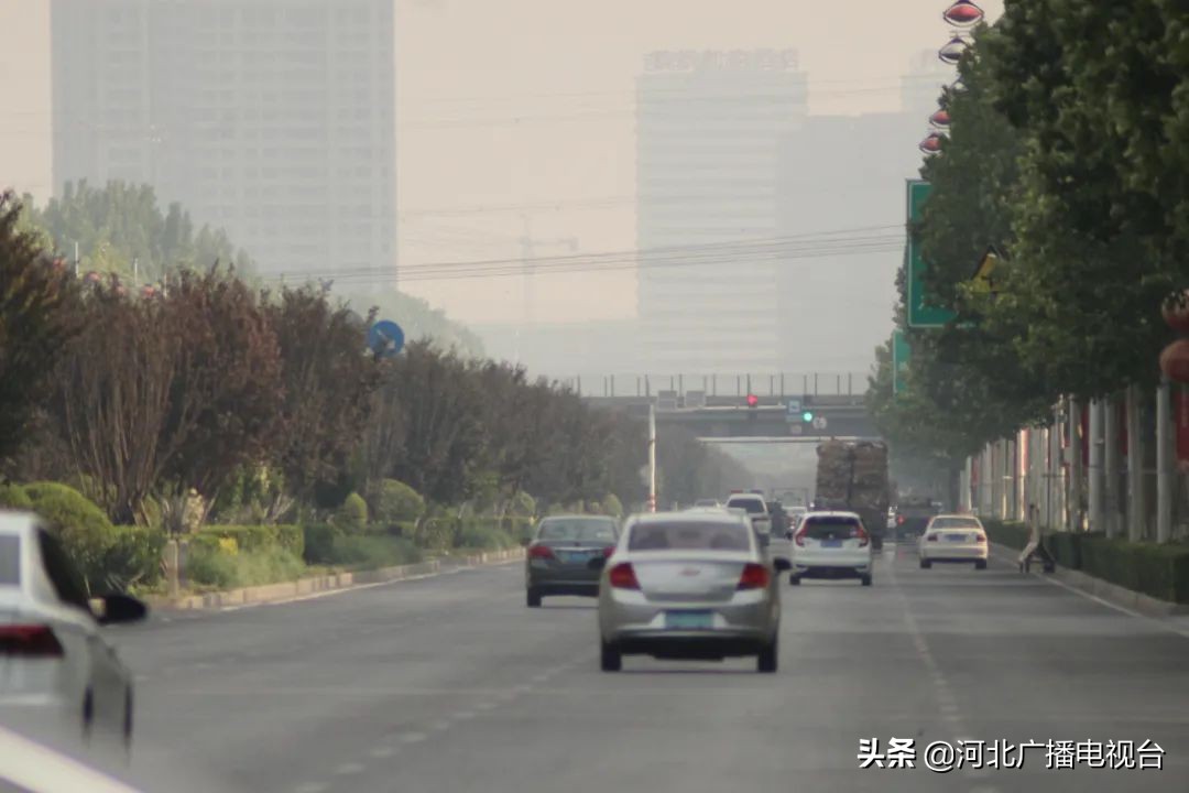最新消息!邯郸地区进出高速口只查验这些东西