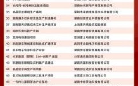 《长图》三湘民营企业100强名单来了！这些代表和项目受到了表彰-