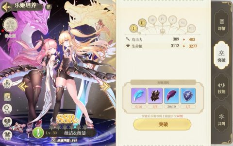 玩这个游戏会让你好奇肉鸽是什么？003010开放服务评估-