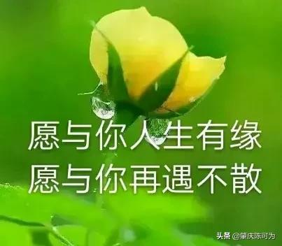 幸福的生活到底是什么样子的?