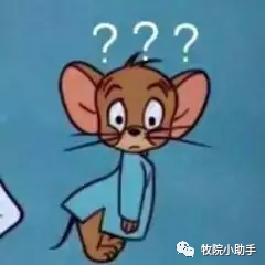 攻略 || 在牧院，如何有效的保持单身？