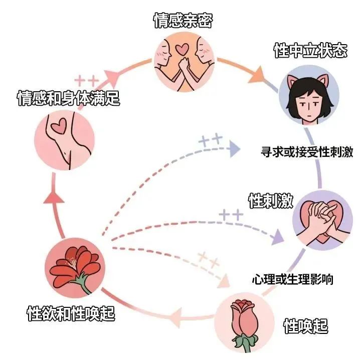 「男女X高潮」，你需要知道的几件事