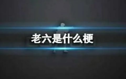 “老六”是什么梗?