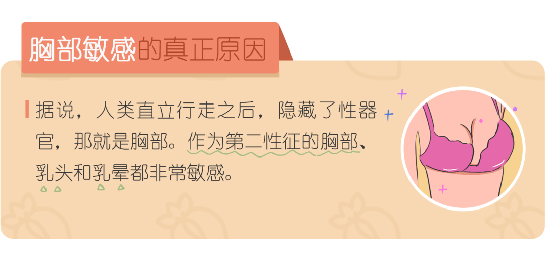 女生「身体敏感点」一览表（未成年勿入）