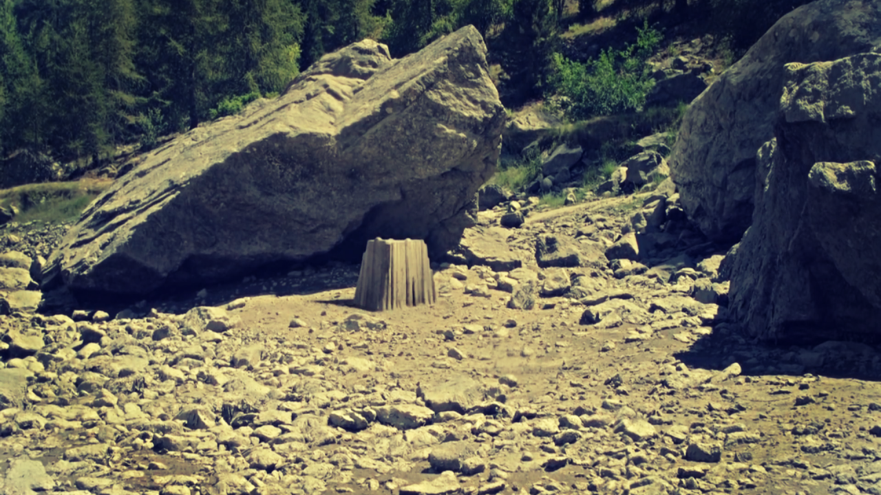 蚂蚁看到的世界是什么样子的？人类看到的高维生命是什么？