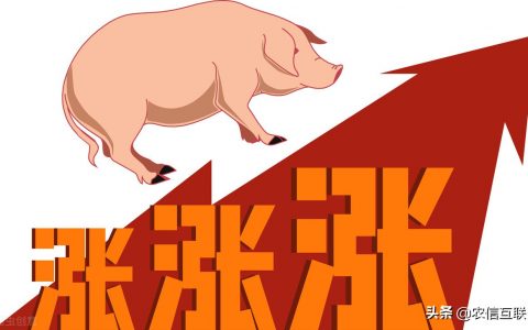 今日猪价一览表,全面上涨(今天猪价行情涨跌表今日猪价涨跌 新闻)