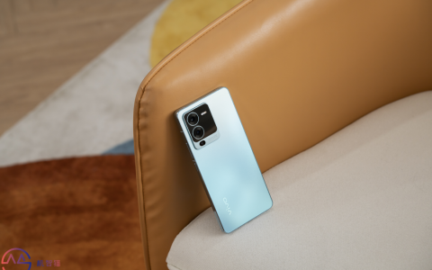 骁龙730的vivo手机(vivo哪款手机是骁龙870)