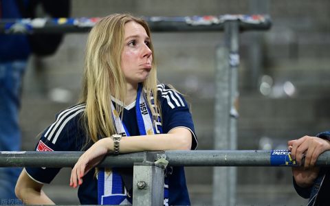 柏林赫塔逆转汉堡成功保住德甲资格。汉堡是否“不想”重返德甲？-