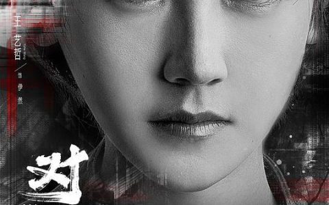 对决电视剧全集在线观看(对决完整版)