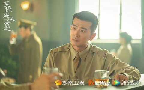 凭栏一片风云起共多少集(凭栏一片风云起免费观看)