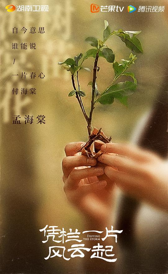 凭栏一片风云起