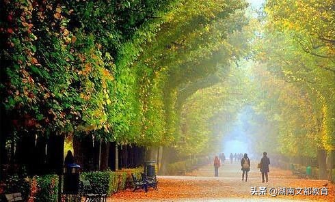 抱歉，大学考这些证，根本没有用，费时费力