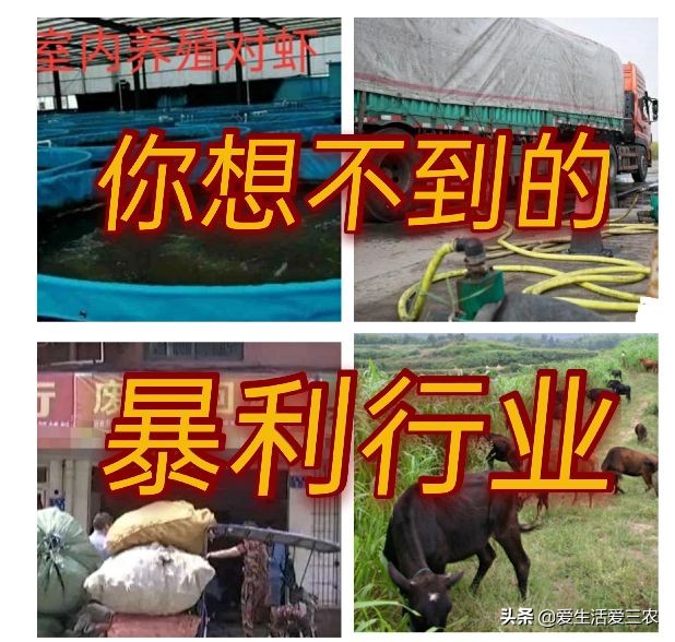这些项目很赚钱,但是一般人想不到,有你在做的项目吗?