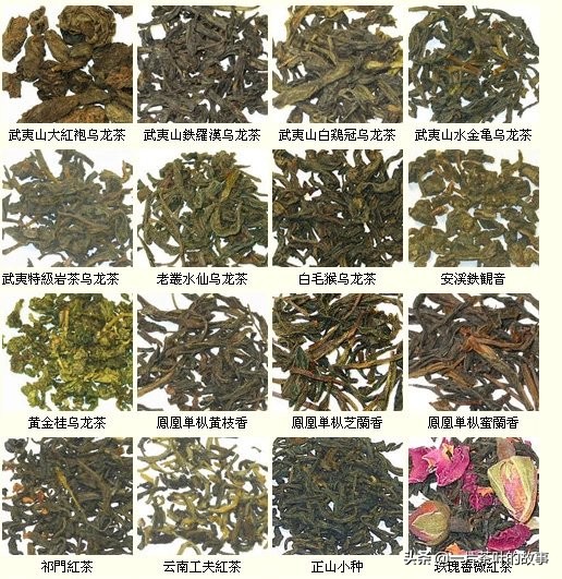 中国各种茶,看看你都喝过多少?