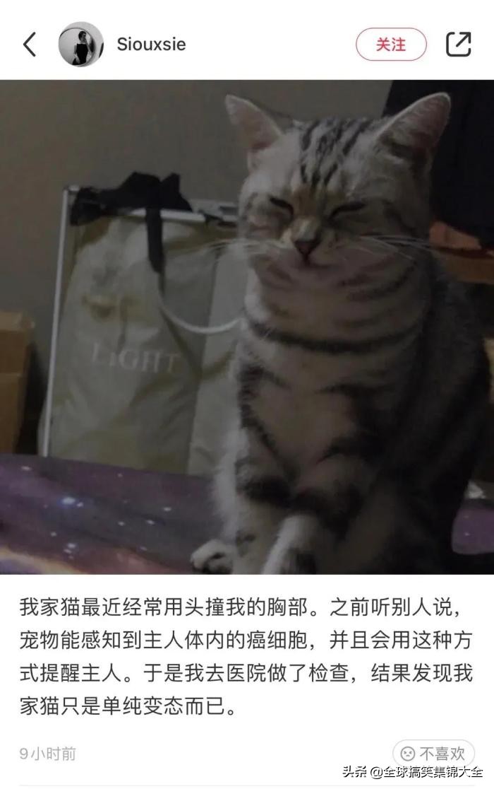 每日搞笑：有没有什么事情已经活了三十多年，至今没有发现？