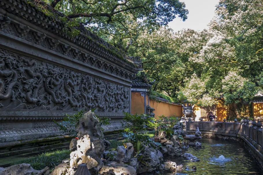 人生必去的普陀山，超全拜佛攻略整理好了