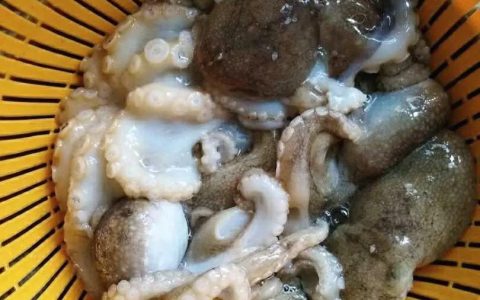 海鲜种类怎么吃，海鲜新吃法就这么与众不同