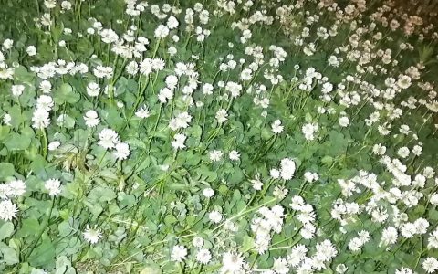 因果轮回吗，有没有因果轮回