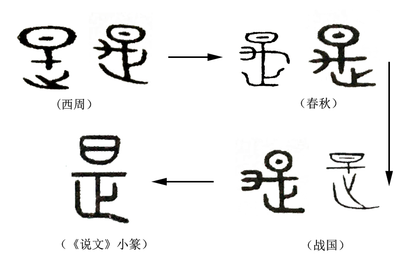 《说文解字》第225课:细说“是”字
