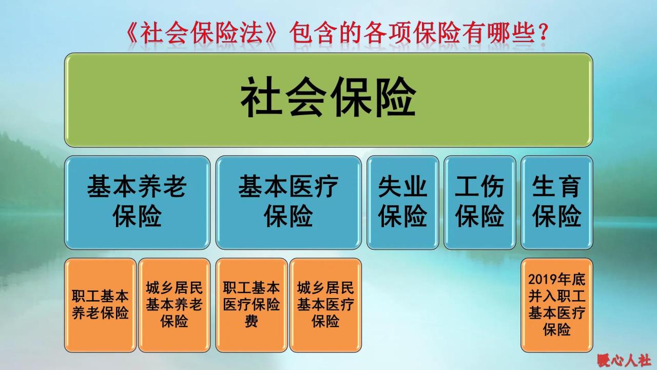 社保到底包括哪些内容呢?大学生是不是不急着缴社保?答案在这里