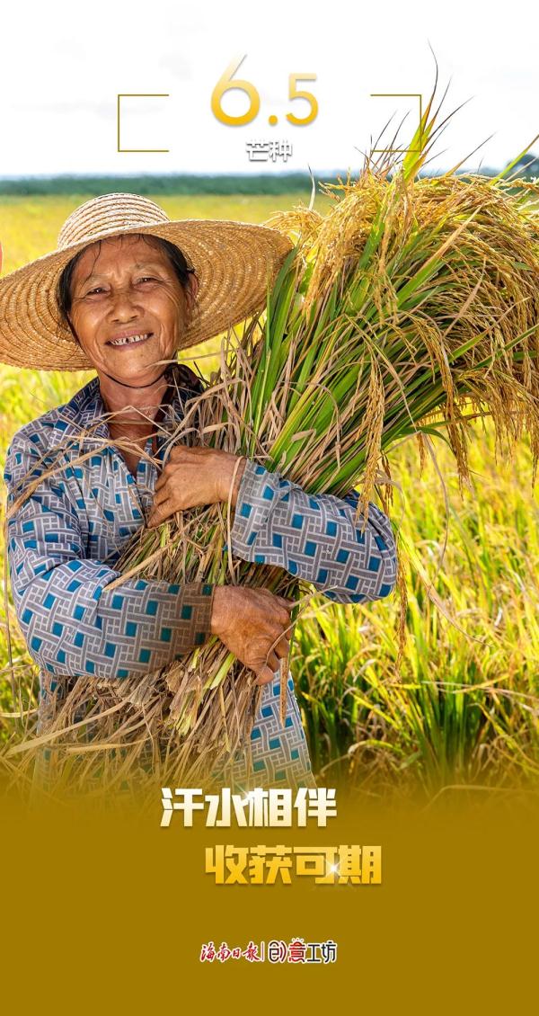 6月，你好！这些日子值得关注