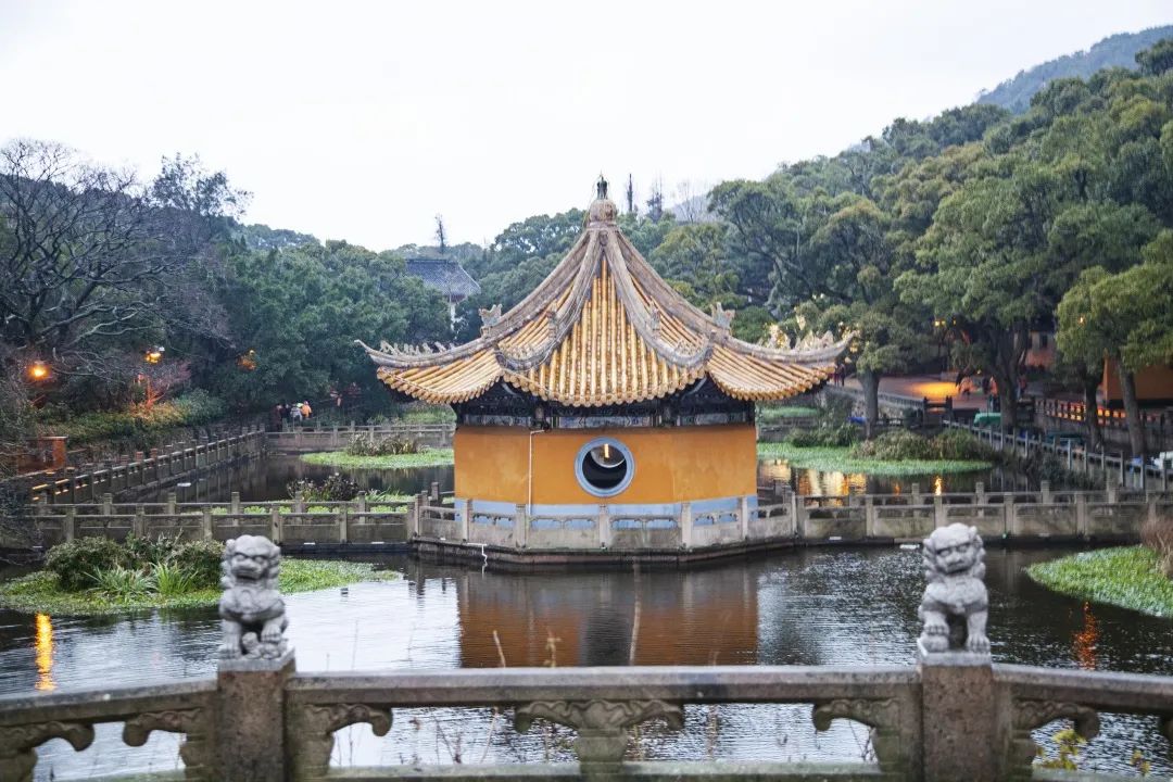 人生必去的普陀山，超全拜佛攻略整理好了