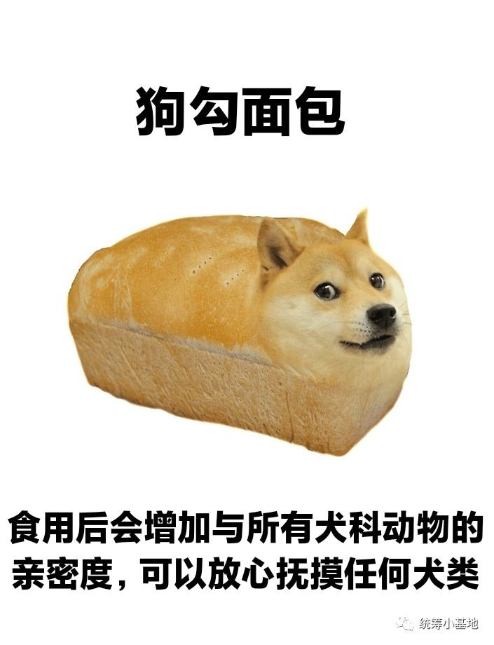 冒险家 来商店选择一些食物# EarthOnline