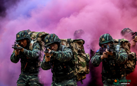 特战队员体能训练(特战队视频)