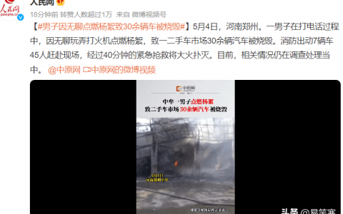 男子无聊点燃杨絮致30余辆车被烧毁，具体是什么情况？
