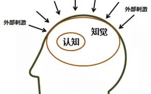 啥是引流啊，引流方式是什么