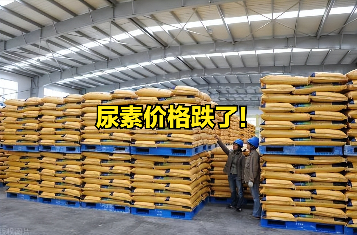 尿素价格跌了!近“满格”下跌,小麦价格也跌了,玉米黄豆咋样