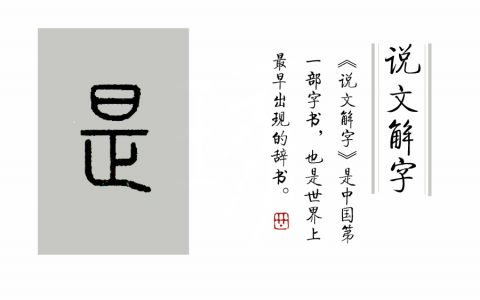 说文解字第10课(说文解字第十五篇)