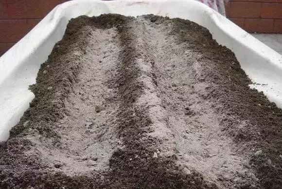 茉莉花施肥宝典：这样施肥，比花市老板养的都好