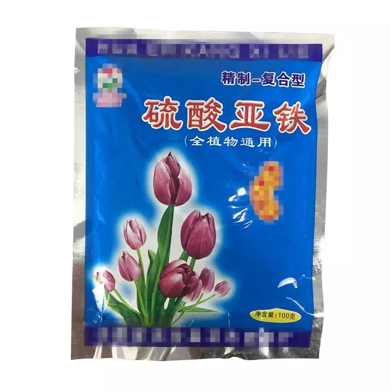 茉莉花施肥宝典：这样施肥，比花市老板养的都好