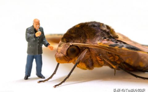 关于科学的冷知识，科学家的冷知识