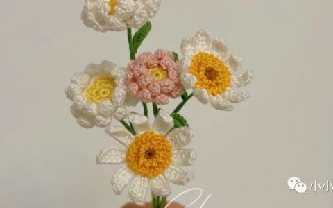 女生的小雏菊长什么样