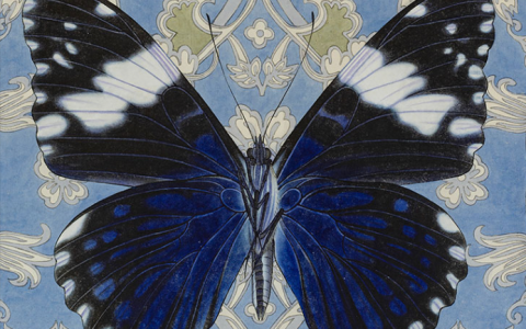 6月2日新数码收藏会抢攻略|西汉玉器，浙大，龙舟饺子，爱国龙