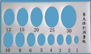 脱裤子、撅屁股、捏蛋，好羞耻啊~