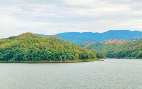 高中优秀议论文通用的素材，高中议论文名人正反素材