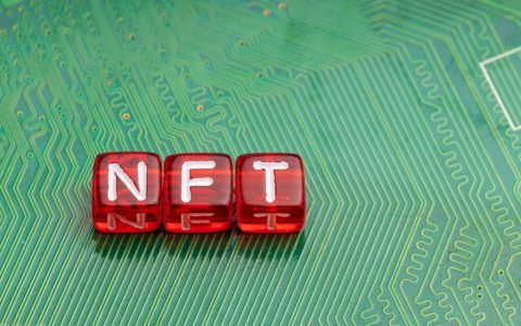 为了拯救亚马逊雨林，环境NFT在不到一小时内就被抢购一空。