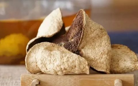 简单五招，教你如何分辨真假新会陈皮！