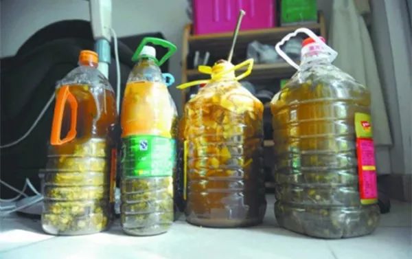 茉莉花施肥宝典：这样施肥，比花市老板养的都好