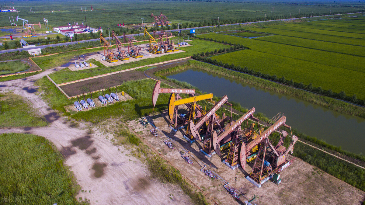 高考分数不够，志愿计谋来凑，逆向思维报考法