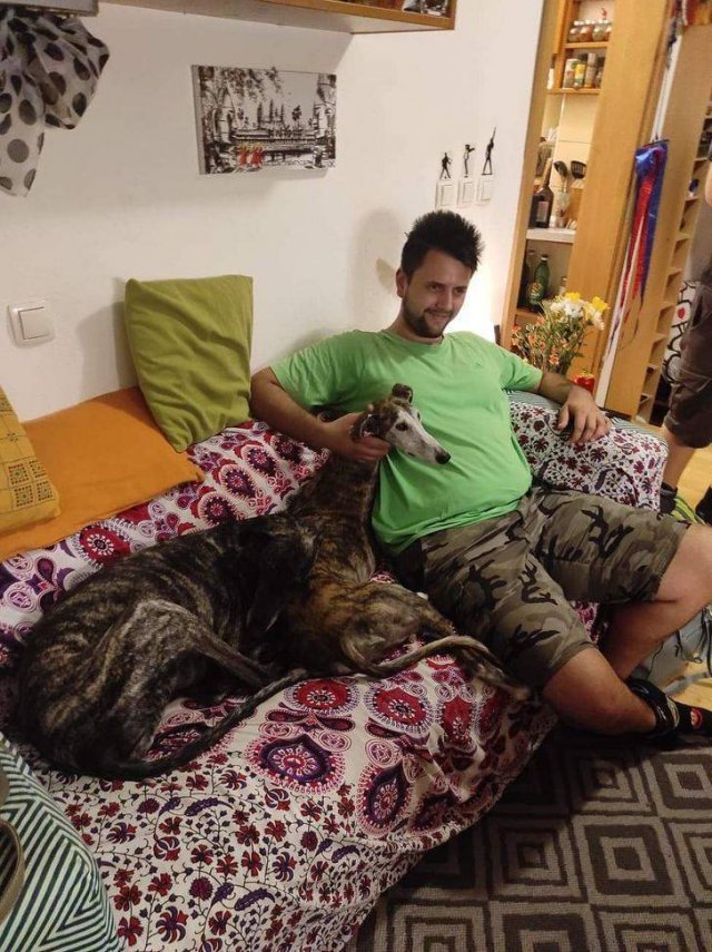 有趣的幻觉照片轻松误导我们的双眼(49张)