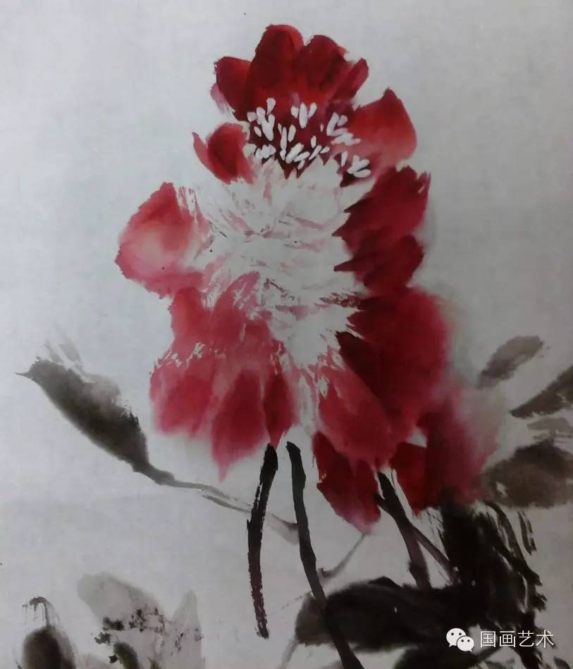 写意牡丹花的画法步骤，工笔红牡丹的画法