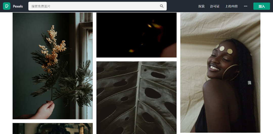 8大优质创意网站资源，抖音短视频、设计、PPT等素材库