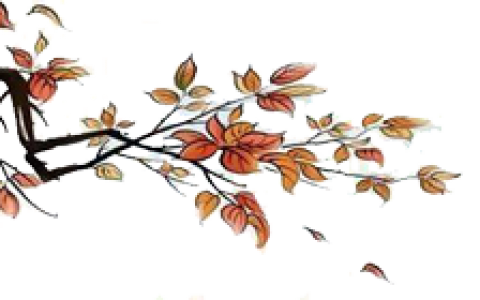 十二生肖牛年每月运势，牛年各大生肖运势