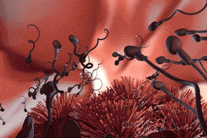 精子杀手排行榜！你的精子没问题吧？